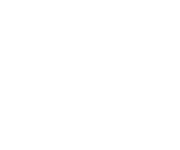 Nimble logo